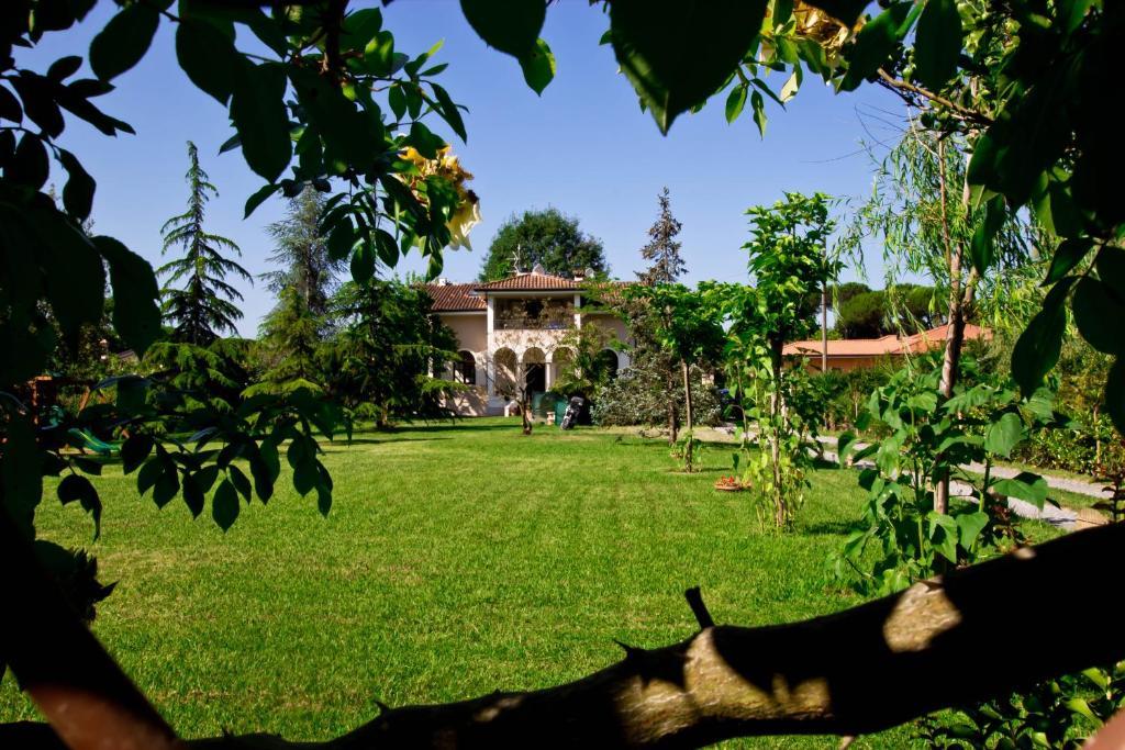La Coralia B&B มาสซา ภายนอก รูปภาพ